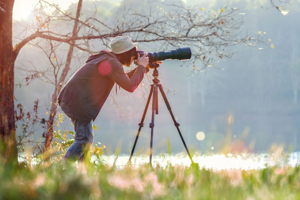 Neem deel aan de 'Wildfoto van het Jaar 2024'