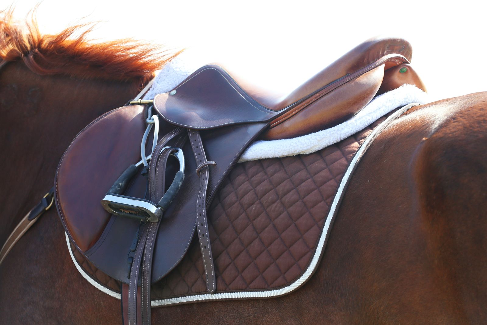 Zadelpassen: hoe de juiste fit zowel paard als ruiter ten goede komt