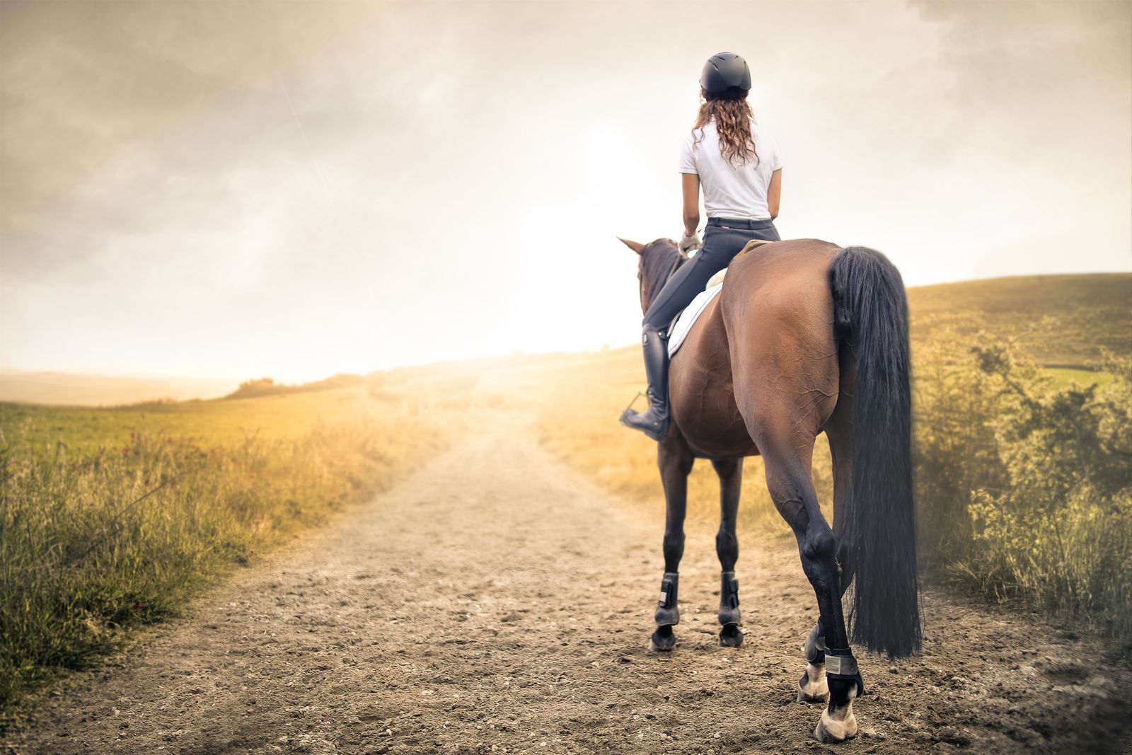 Waarom paardenosteopathie een gamechanger is voor de gezondheid van uw paard