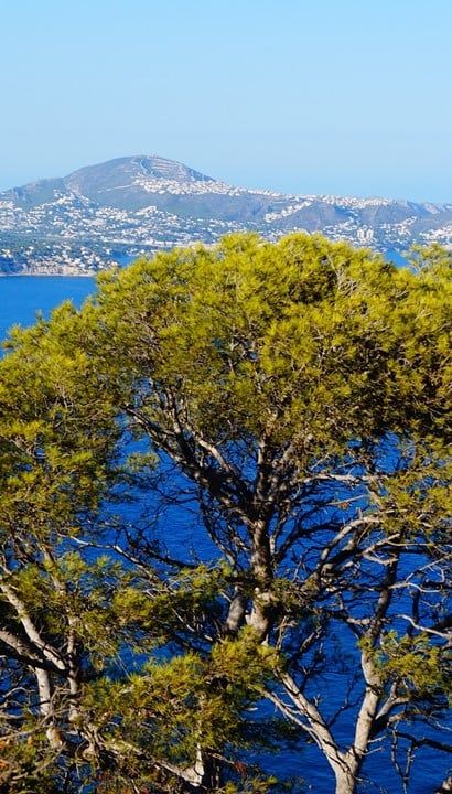 Vakantiehuis in het zonnige Calpe (6p.) - Spanje