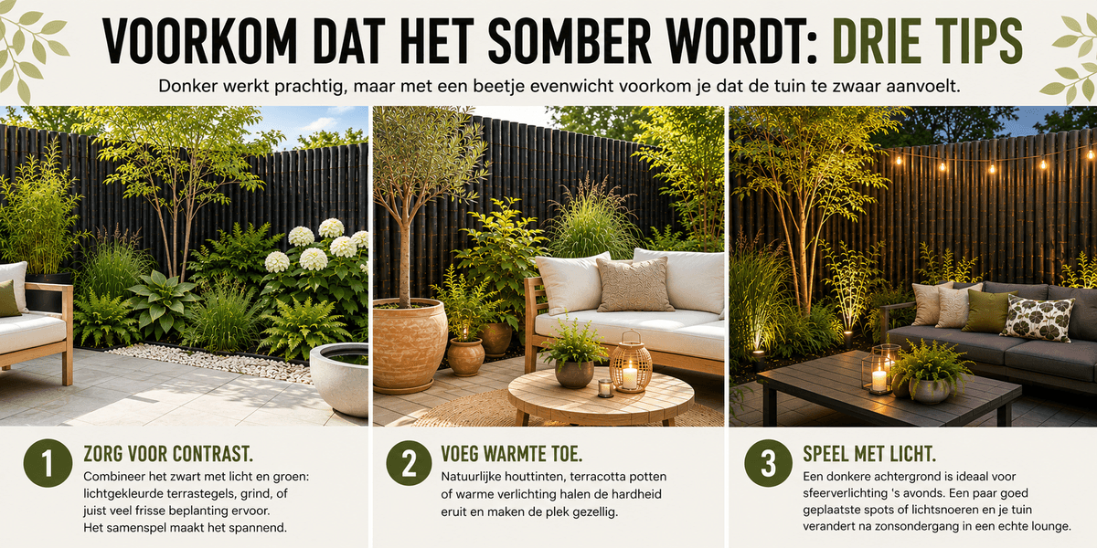 3 tips voor een prachtige tuin met zwarte Java bamboe