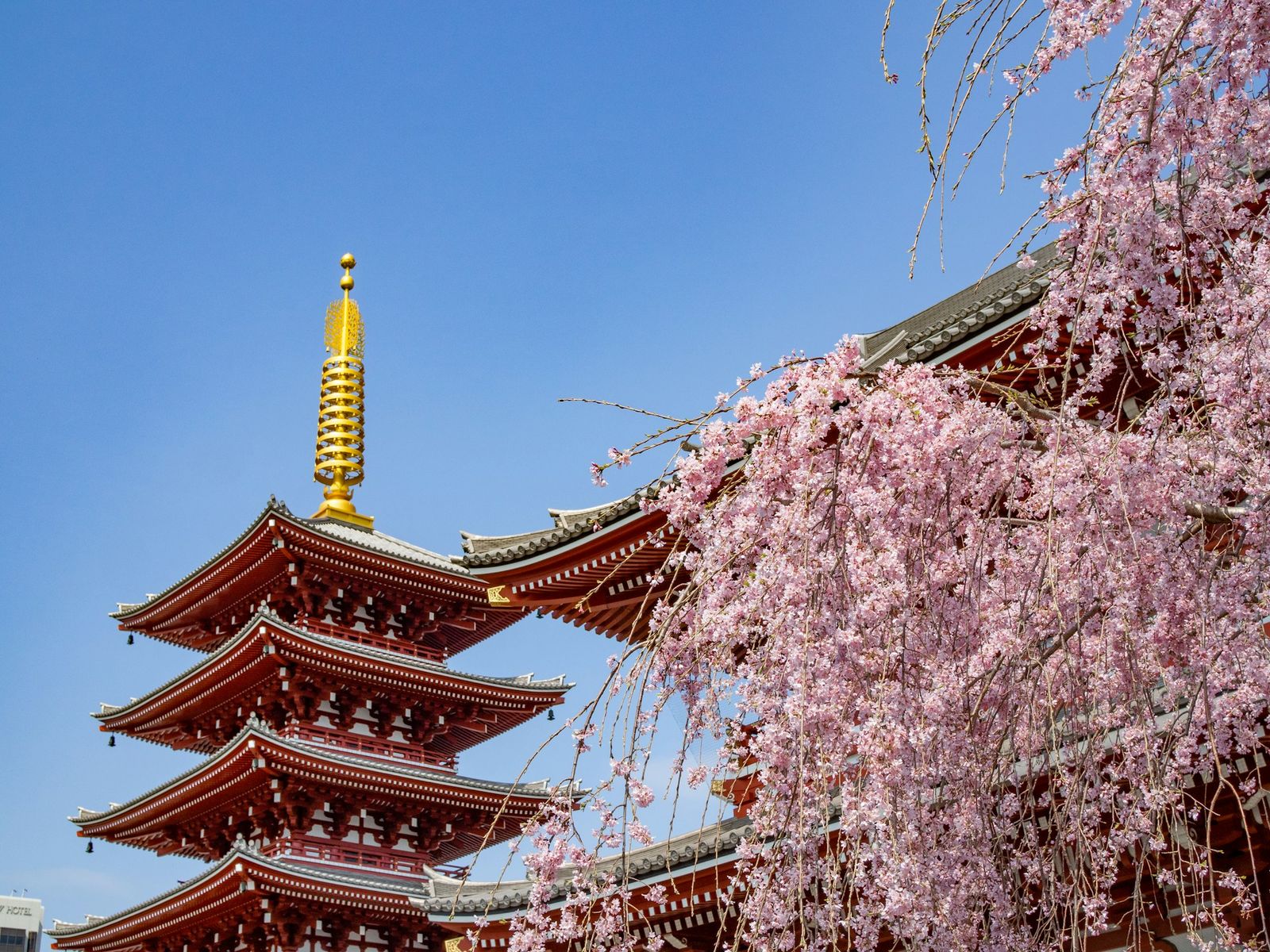 Groepscruise Japan met Celebrity Millennium | 16 dagen