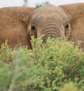 Verrassingsvakanties op maat | Laat je inspireren bij Selectair