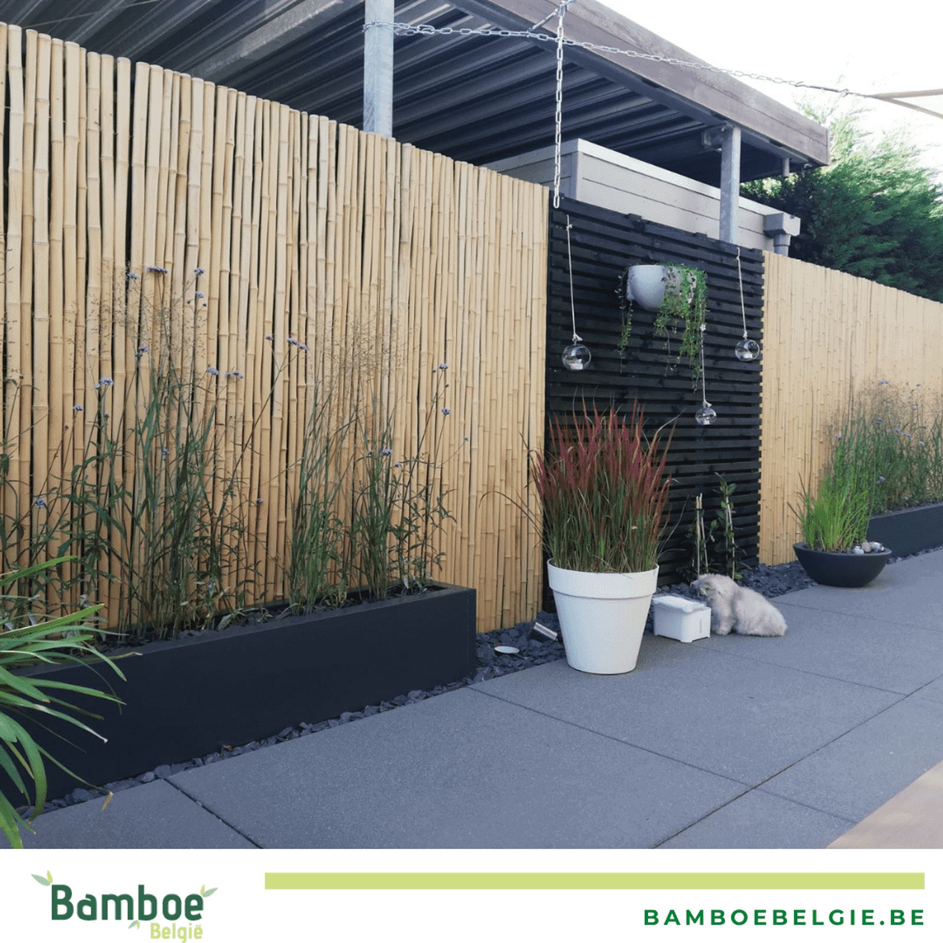 Uitgaan van ambitie Absoluut De verschillende soorten bamboematten op een rijtje | Bamboe Magazine België
