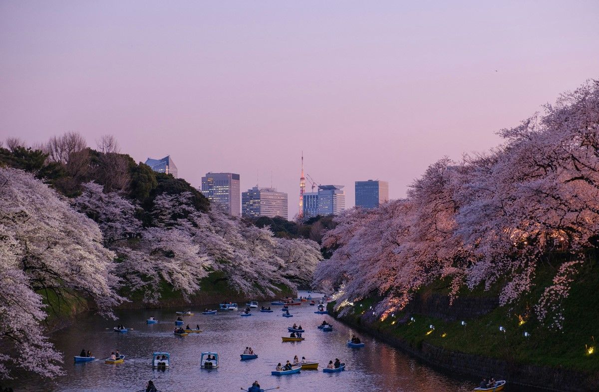 Rondreis Japan: Authentiek - 18 dagen